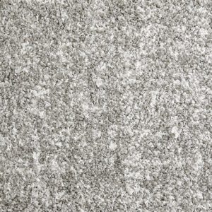Shaggy Superstar-Silver Carpet 