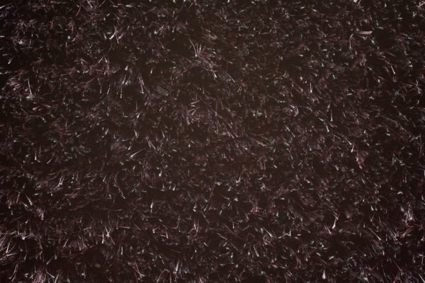 Shaggy Majestic-Blackberry Carpet 