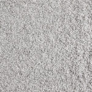 Shaggy Superstar-Platinum Carpet 