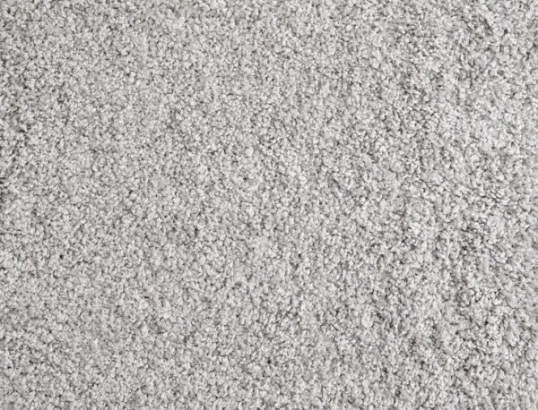 Shaggy Superstar-Platinum Carpet 