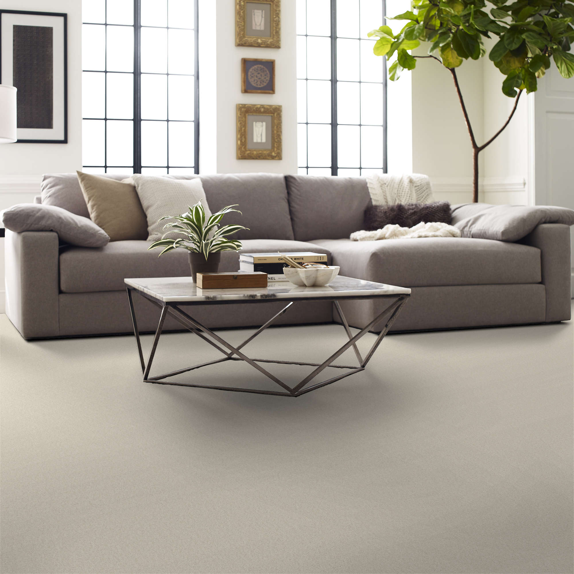 Deco Deco