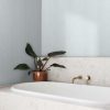 Serene White Serene White
