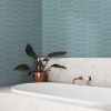 Robbins Egg Robbins Egg