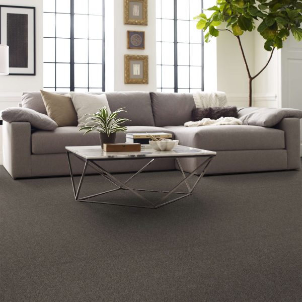 Solid Grey Solid Grey