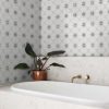 Flamenco Grey Flamenco Grey