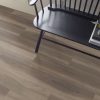 Chestnut Oak  