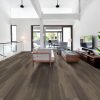 Chestnut Oak  