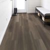 Chestnut Oak  