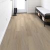 Spalted Maple  