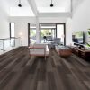 Blackfill Oak Blackfill Oak
