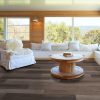 Blackfill Oak Blackfill Oak