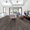 Oyster Oak Oyster Oak