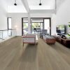 Timeless Oak  