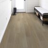Timeless Oak  