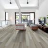 Dutch Oak Dutch Oak