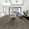 Executive Oak Executive Oak