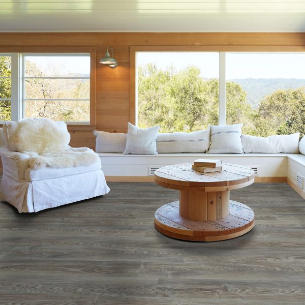 Grey Chestnut Grey Chestnut