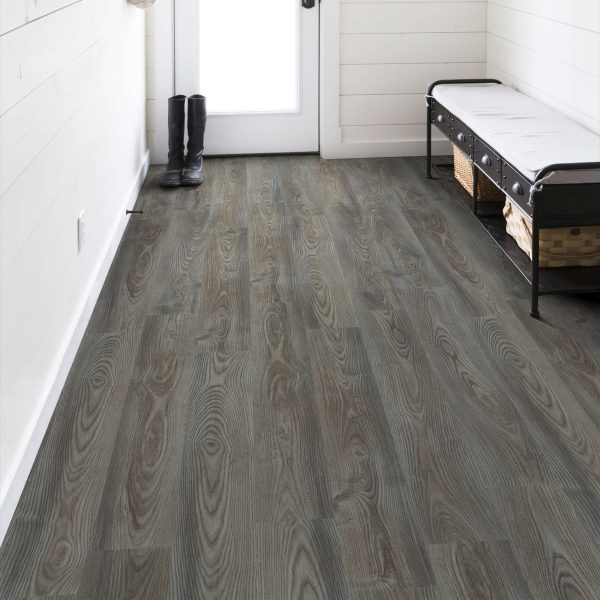 Grey Chestnut Grey Chestnut