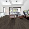 Dark Elm  