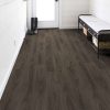 Dark Elm  