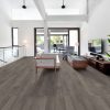 Grey Chestnut Grey Chestnut