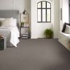 Grey Chestnut Grey Chestnut