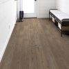 Accent Pine Accent Pine