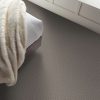 Feather Grey Feather Grey