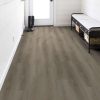 Toasted Taupe Toasted Taupe