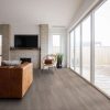 Washed Oak  