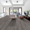 Greyed Oak Greyed Oak