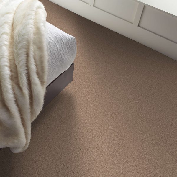 Raw Sienna Raw Sienna