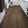 Raw Sienna Raw Sienna