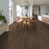 Raw Sienna Raw Sienna
