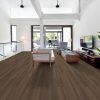 Raw Sienna Raw Sienna