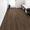 Raw Sienna Raw Sienna