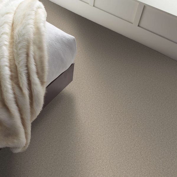 Shell Taupe Shell Taupe