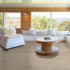 Shell Taupe Shell Taupe