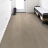 Shell Taupe Shell Taupe