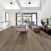 Lounge Greige Lounge Greige
