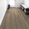 Lounge Greige Lounge Greige