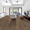 Cabriole Brown Cabriole Brown