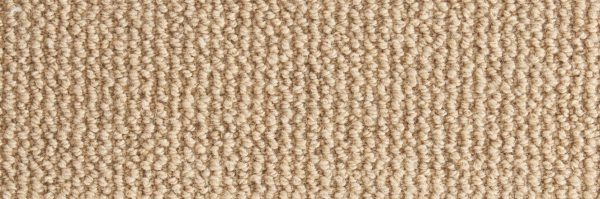 Shawnee-Beige Carpet 