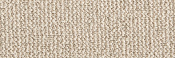 Shawnee-Oyster Carpet 