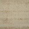 Shear Creation-Champagne Carpet 