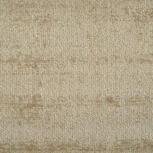 Shear Creation-Champagne Carpet 