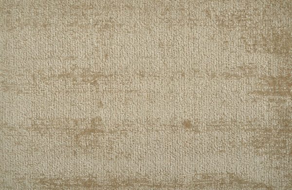 Shear Creation-Champagne Carpet 