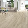 Slim Trim 3in1 Tmold-Woodlands Shell Luxury Vinyl, stantoncarpet 