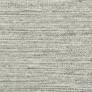 Simplicity-Argent Carpet 