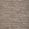Simplicity-Birch Carpet 
